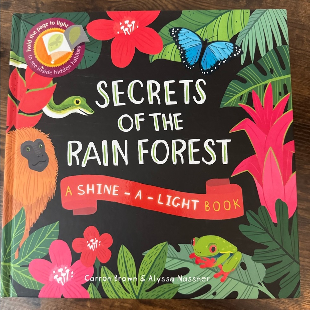 Shine-a-Light Book Series!